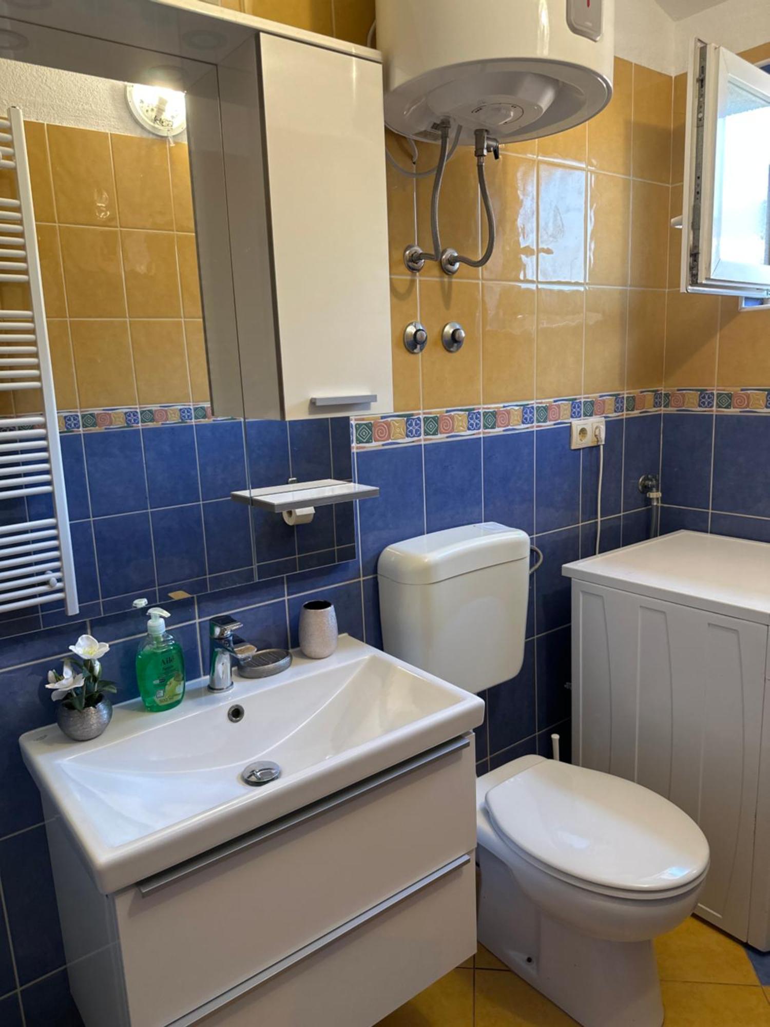 Apartment Mlikotic *